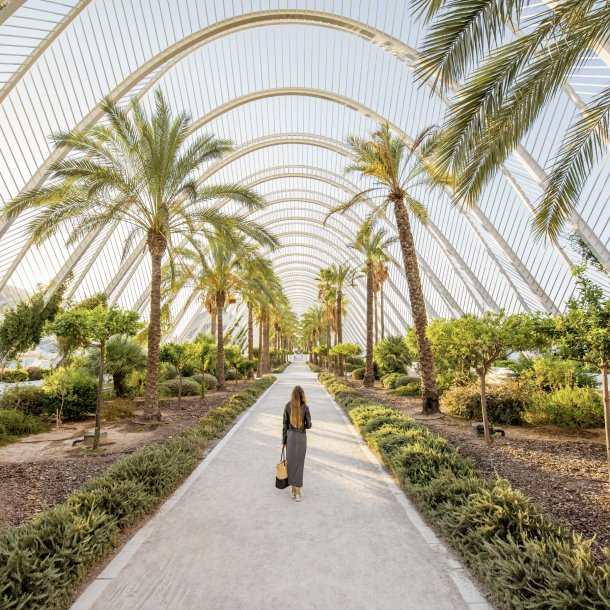 primavera en valencia